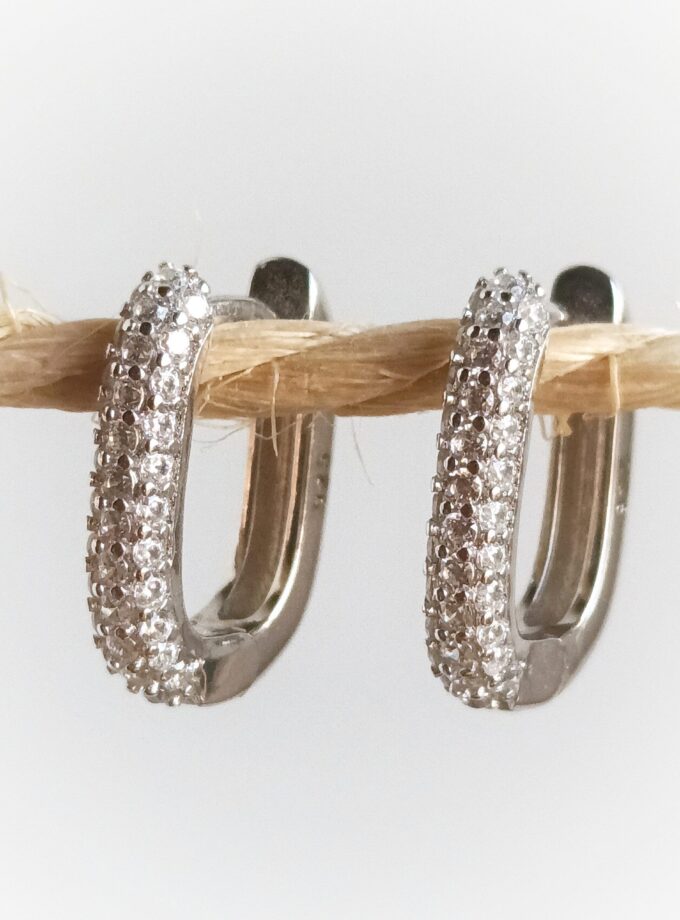 Pendientes 2539 Plata