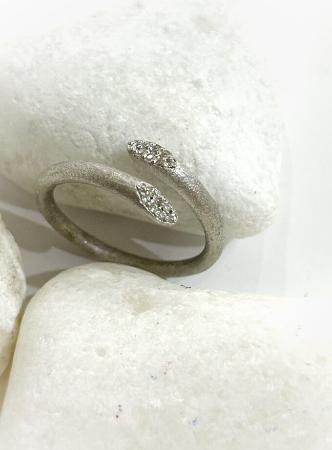 Anillo Snake