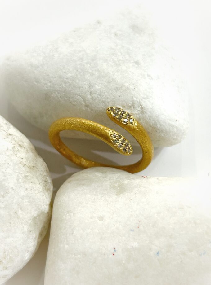 Anillo Snake