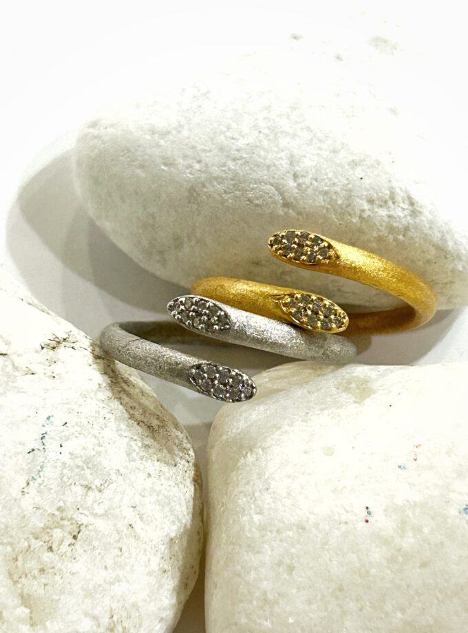 Anillo Snake